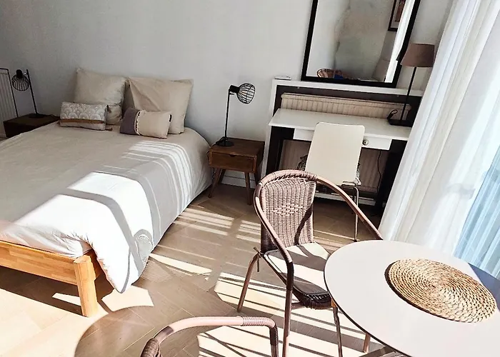3p 72m2 Climatise Vue Exceptionnelle Cathedrale St Nicolas Et